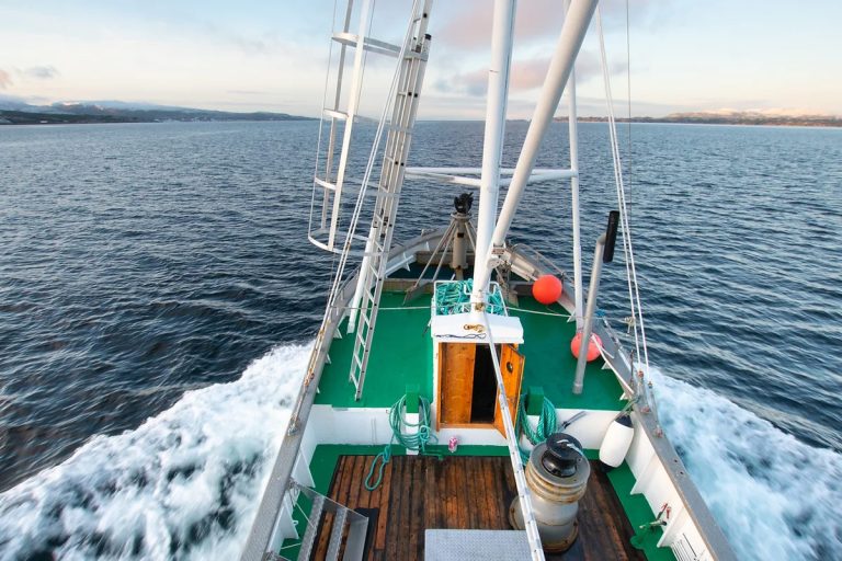 Fisketur – 3 timer fra Molde eller Ålesund