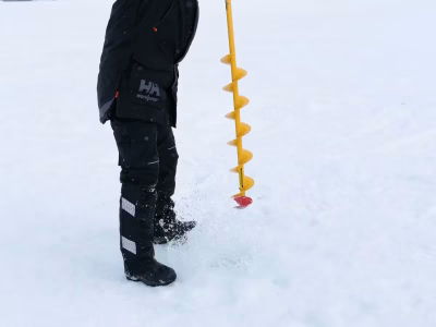 sno6